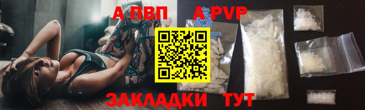 A PVP СК Горно-Алтайск
