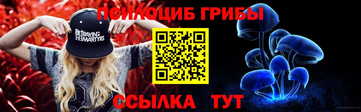 Галлюциногенные грибы Cubensis  Вход с VPN  Горно-Алтайск 